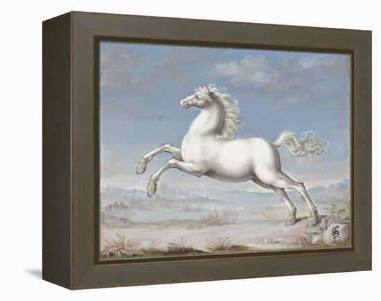 White Horse, by Joris Hoefnagel, 1560-99, Flemish painting,-Joris Hoefnagel-Framed Stretched Canvas