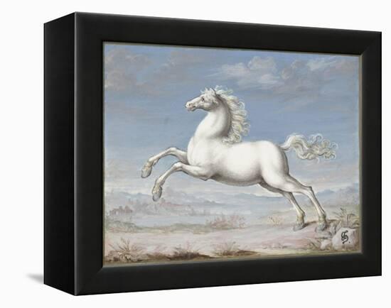 White Horse, by Joris Hoefnagel, 1560-99, Flemish painting,-Joris Hoefnagel-Framed Stretched Canvas