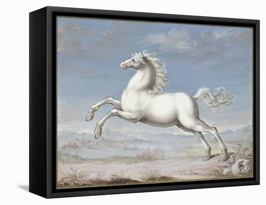 White Horse, by Joris Hoefnagel, 1560-99, Flemish painting,-Joris Hoefnagel-Framed Stretched Canvas