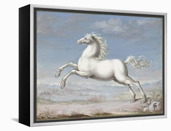 White Horse, by Joris Hoefnagel, 1560-99, Flemish painting,-Joris Hoefnagel-Framed Stretched Canvas