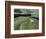 White Horse, Cherhill-Eric Hains-Framed Giclee Print