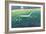 White Horse Hill, Uffington, 1992-Evangeline Dickson-Framed Giclee Print