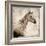 White Horse I-Irena Orlov-Framed Art Print