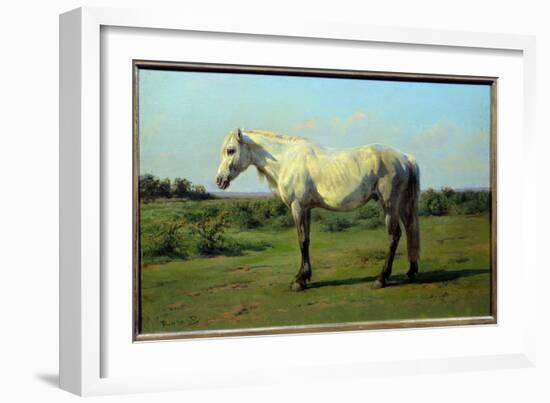 White Horse in a Pre. Painting by Rosa Bonheur (1822-1899), 19Th Century. Oil on Canvas. Dim: 0.34-Rosa Bonheur-Framed Giclee Print