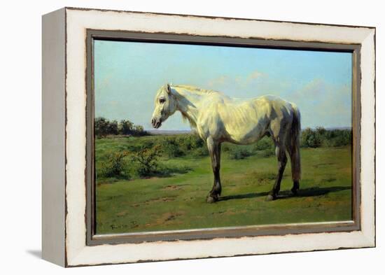 White Horse in a Pre. Painting by Rosa Bonheur (1822-1899), 19Th Century. Oil on Canvas. Dim: 0.34-Rosa Bonheur-Framed Premier Image Canvas