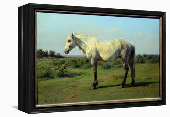 White Horse in a Pre. Painting by Rosa Bonheur (1822-1899), 19Th Century. Oil on Canvas. Dim: 0.34-Rosa Bonheur-Framed Premier Image Canvas