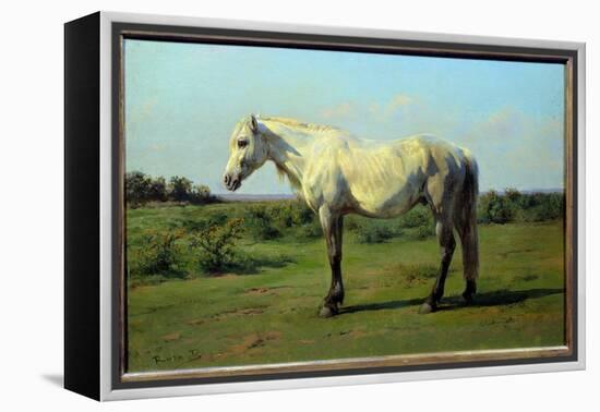 White Horse in a Pre. Painting by Rosa Bonheur (1822-1899), 19Th Century. Oil on Canvas. Dim: 0.34-Rosa Bonheur-Framed Premier Image Canvas