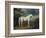 White Horse in a Wooded Landscape, 1791-Sawrey Gilpin-Framed Giclee Print