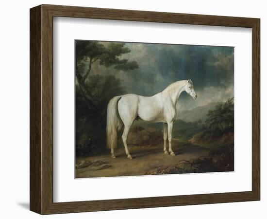 White Horse in a Wooded Landscape, 1791-Sawrey Gilpin-Framed Giclee Print