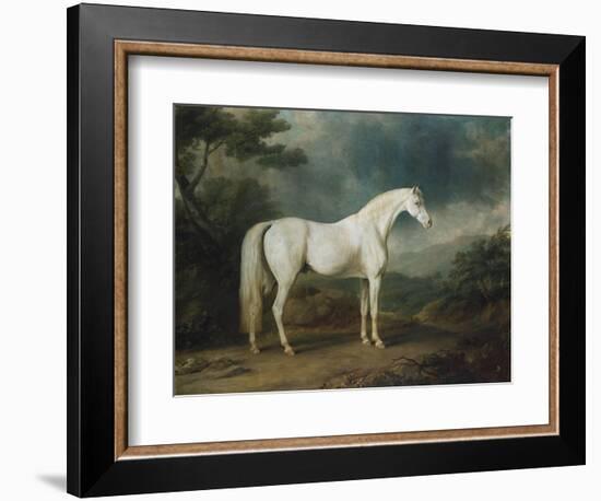 White Horse in a Wooded Landscape, 1791-Sawrey Gilpin-Framed Giclee Print