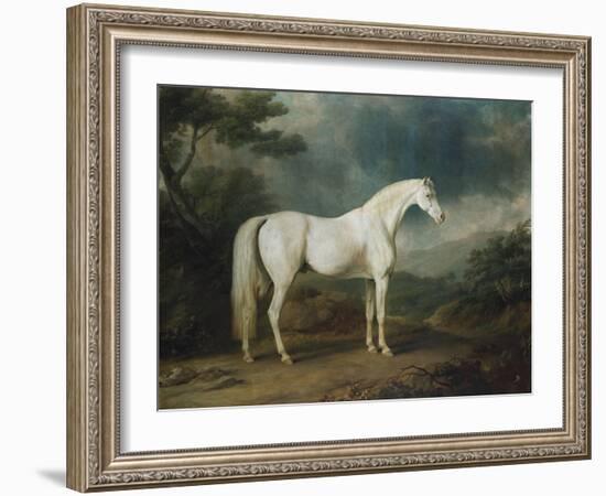 White Horse in a Wooded Landscape, 1791-Sawrey Gilpin-Framed Giclee Print