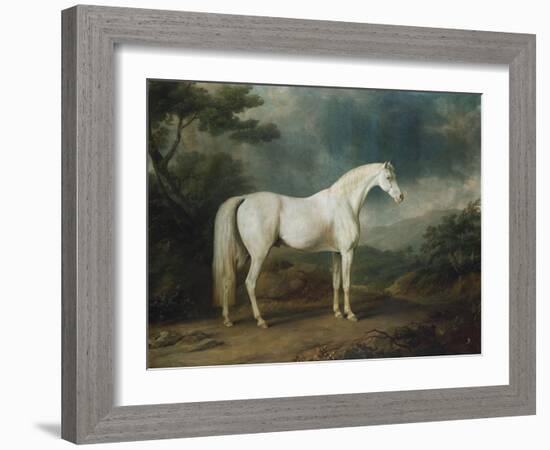 White Horse in a Wooded Landscape, 1791-Sawrey Gilpin-Framed Giclee Print