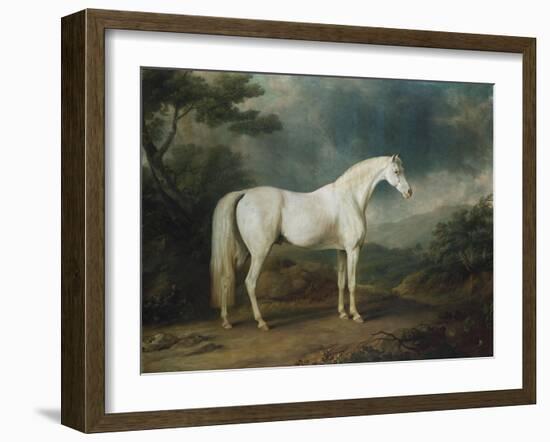 White Horse in a Wooded Landscape, 1791-Sawrey Gilpin-Framed Giclee Print