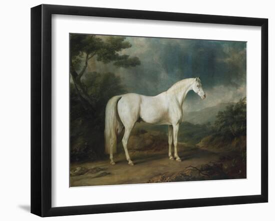 White Horse in a Wooded Landscape, 1791-Sawrey Gilpin-Framed Giclee Print