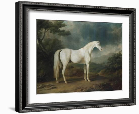 White Horse in a Wooded Landscape, 1791-Sawrey Gilpin-Framed Giclee Print