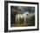 White Horse in a Wooded Landscape, 1791-Sawrey Gilpin-Framed Giclee Print