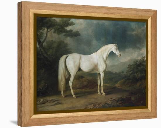 White Horse in a Wooded Landscape, 1791-Sawrey Gilpin-Framed Premier Image Canvas