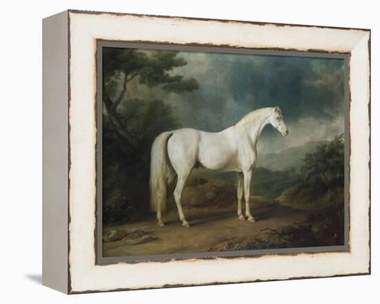 White Horse in a Wooded Landscape, 1791-Sawrey Gilpin-Framed Premier Image Canvas