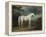White Horse in a Wooded Landscape, 1791-Sawrey Gilpin-Framed Premier Image Canvas