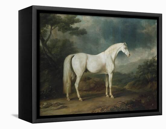 White Horse in a Wooded Landscape, 1791-Sawrey Gilpin-Framed Premier Image Canvas