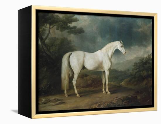 White Horse in a Wooded Landscape, 1791-Sawrey Gilpin-Framed Premier Image Canvas