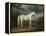 White Horse in a Wooded Landscape, 1791-Sawrey Gilpin-Framed Premier Image Canvas