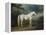 White Horse in a Wooded Landscape, 1791-Sawrey Gilpin-Framed Premier Image Canvas