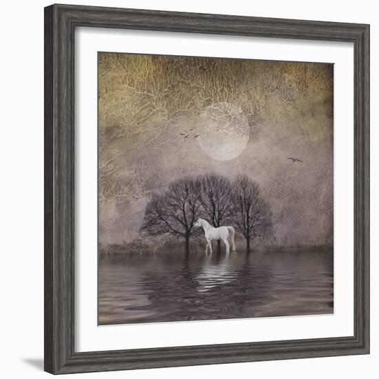 White Horse in Pond-Dawne Polis-Framed Art Print