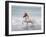 White Horse Running on the Beach, Iceland-Arctic-Images-Framed Photographic Print