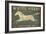 White Horse Running-Ryan Fowler-Framed Art Print