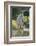 White Horse Walking on Trail-DLILLC-Framed Photographic Print