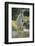 White Horse Walking on Trail-DLILLC-Framed Photographic Print