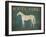 White Horse with Words Blue-Ryan Fowler-Framed Art Print