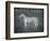 White Horse with Words-Ryan Fowler-Framed Art Print