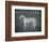 White Horse with Words-Ryan Fowler-Framed Art Print