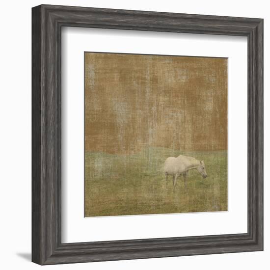 White Horse-Erin Clark-Framed Art Print