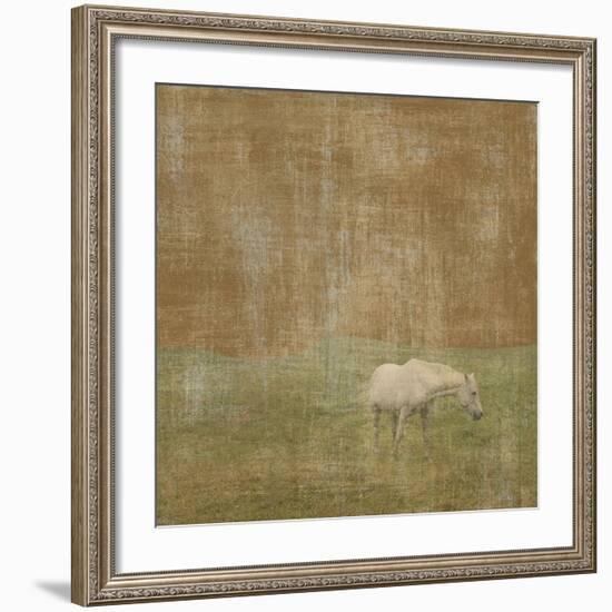 White Horse-Erin Clark-Framed Art Print