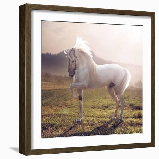 White Horse-conrado-Framed Photographic Print