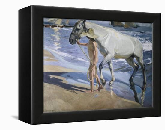 White Horse-Joaquín Sorolla y Bastida-Framed Stretched Canvas