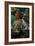 White Horse-Paul Gauguin-Framed Art Print