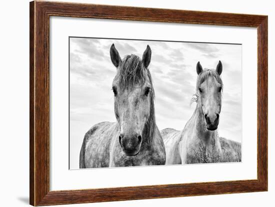 White Horses, Camargue, France-Nadia Isakova-Framed Premium Photographic Print