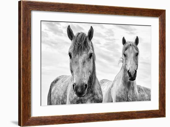 White Horses, Camargue, France-Nadia Isakova-Framed Premium Photographic Print