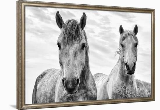 White Horses, Camargue, France-Nadia Isakova-Framed Premium Photographic Print