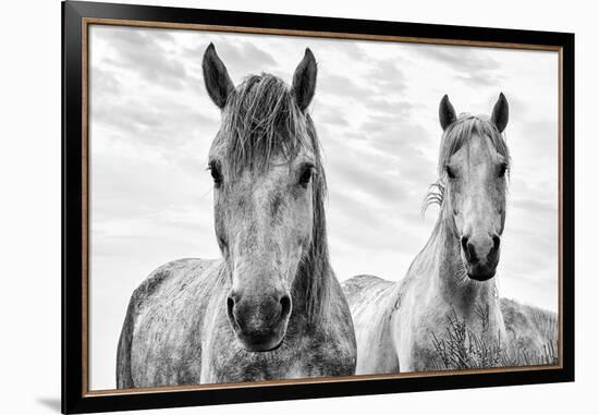 White Horses, Camargue, France-Nadia Isakova-Framed Premium Photographic Print