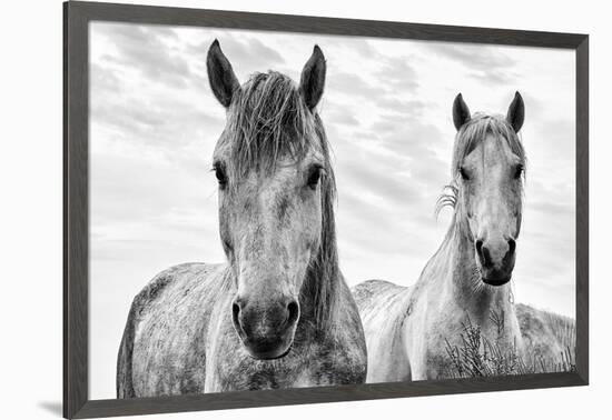 White Horses, Camargue, France-Nadia Isakova-Framed Premium Photographic Print