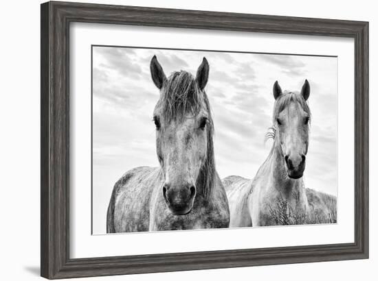 White Horses, Camargue, France-Nadia Isakova-Framed Photographic Print