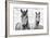 White Horses, Camargue, France-Nadia Isakova-Framed Photographic Print