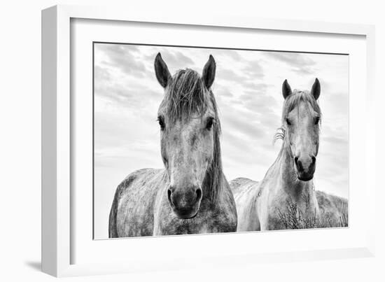 White Horses, Camargue, France-Nadia Isakova-Framed Photographic Print