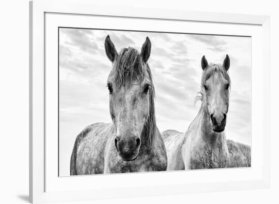 White Horses, Camargue, France-Nadia Isakova-Framed Photographic Print