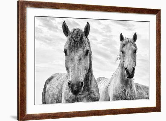 White Horses, Camargue, France-Nadia Isakova-Framed Photographic Print